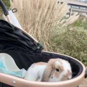 ヒメ日記 2025/09/03 18:40 投稿 あいみ ふぞろいの人妻たち