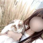 ヒメ日記 2025/09/04 15:00 投稿 あいみ ふぞろいの人妻たち