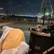 ヒメ日記 2025/09/11 00:10 投稿 あいみ ふぞろいの人妻たち