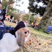 ヒメ日記 2025/11/02 17:01 投稿 あいみ ふぞろいの人妻たち