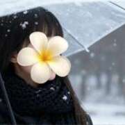 ヒメ日記 2025/11/10 20:50 投稿 あいみ ふぞろいの人妻たち