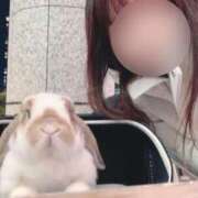 ヒメ日記 2025/12/01 16:30 投稿 あいみ ふぞろいの人妻たち