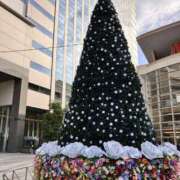 ヒメ日記 2025/12/05 13:20 投稿 あいみ ふぞろいの人妻たち