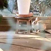 ヒメ日記 2026/01/02 08:50 投稿 あいみ ふぞろいの人妻たち