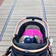 ヒメ日記 2026/01/29 17:00 投稿 あいみ ふぞろいの人妻たち