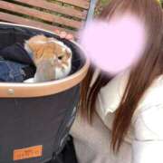 ヒメ日記 2026/02/03 13:50 投稿 あいみ ふぞろいの人妻たち