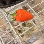 ヒメ日記 2026/02/20 15:00 投稿 あいみ ふぞろいの人妻たち