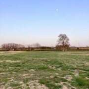 ヒメ日記 2026/03/02 15:10 投稿 あいみ ふぞろいの人妻たち