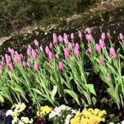 ヒメ日記 2026/03/06 23:35 投稿 あいみ ふぞろいの人妻たち