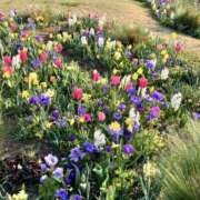 ヒメ日記 2026/03/23 12:40 投稿 あいみ ふぞろいの人妻たち