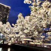 ヒメ日記 2026/03/30 10:20 投稿 あいみ ふぞろいの人妻たち