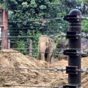 ヒメ日記 2026/04/01 15:10 投稿 あいみ ふぞろいの人妻たち