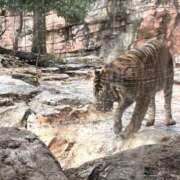 ヒメ日記 2026/04/02 11:20 投稿 あいみ ふぞろいの人妻たち