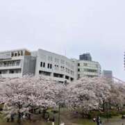 ヒメ日記 2026/04/06 07:10 投稿 あいみ ふぞろいの人妻たち