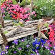 ヒメ日記 2026/04/07 11:00 投稿 あいみ ふぞろいの人妻たち