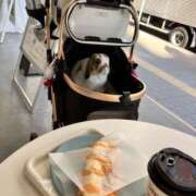 ヒメ日記 2026/04/08 15:30 投稿 あいみ ふぞろいの人妻たち