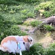 ヒメ日記 2026/04/08 23:02 投稿 あいみ ふぞろいの人妻たち