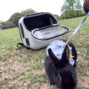 ヒメ日記 2026/04/15 17:50 投稿 あいみ ふぞろいの人妻たち