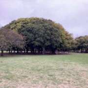 ヒメ日記 2026/04/16 14:00 投稿 あいみ ふぞろいの人妻たち