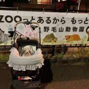 ヒメ日記 2026/05/21 07:11 投稿 あいみ ふぞろいの人妻たち