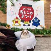 ヒメ日記 2026/06/06 21:31 投稿 あいみ ふぞろいの人妻たち