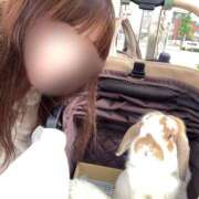 ヒメ日記 2026/06/07 16:51 投稿 あいみ ふぞろいの人妻たち