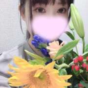 ヒメ日記 2026/09/12 22:31 投稿 あいみ ふぞろいの人妻たち