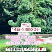 ヒメ日記 2026/09/18 12:31 投稿 あいみ ふぞろいの人妻たち