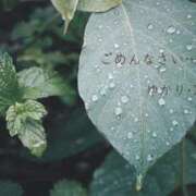 風見ゆかり ＊ごめんなさい＊ セレブ嬉野