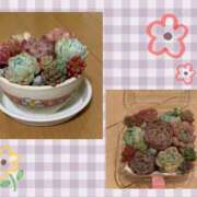 ヒメ日記 2025/05/09 14:30 投稿 るり クラブ貴公子