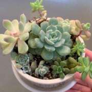 ヒメ日記 2025/12/27 14:12 投稿 るり クラブ貴公子