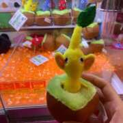 ヒメ日記 2026/01/10 07:01 投稿 るり クラブ貴公子