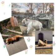 ヒメ日記 2026/03/13 16:45 投稿 るり クラブ貴公子