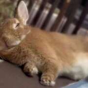 ヒメ日記 2026/02/17 21:02 投稿 おと マネLOVE