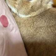 ヒメ日記 2026/06/15 13:46 投稿 おと マネLOVE