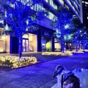 ヒメ日記 2024/12/17 18:30 投稿 まなか もしも素敵な妻が指輪をはずしたら・・・