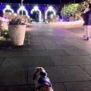 ヒメ日記 2024/12/20 04:10 投稿 まなか もしも素敵な妻が指輪をはずしたら・・・