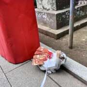 ヒメ日記 2025/01/08 17:31 投稿 まなか もしも素敵な妻が指輪をはずしたら・・・