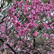 ヒメ日記 2025/02/16 18:30 投稿 まなか もしも素敵な妻が指輪をはずしたら・・・