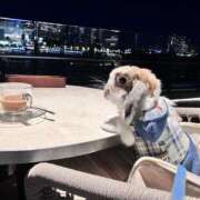 ヒメ日記 2025/03/09 20:30 投稿 まなか もしも素敵な妻が指輪をはずしたら・・・