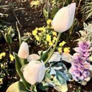 ヒメ日記 2025/03/10 12:20 投稿 まなか もしも素敵な妻が指輪をはずしたら・・・