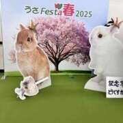 ヒメ日記 2025/03/15 17:01 投稿 まなか もしも素敵な妻が指輪をはずしたら・・・