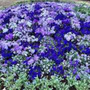 ヒメ日記 2025/03/28 23:50 投稿 まなか もしも素敵な妻が指輪をはずしたら・・・