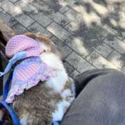 ヒメ日記 2025/04/16 15:30 投稿 まなか もしも素敵な妻が指輪をはずしたら・・・