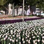 ヒメ日記 2025/04/23 20:10 投稿 まなか もしも素敵な妻が指輪をはずしたら・・・