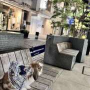 ヒメ日記 2025/04/27 22:10 投稿 まなか もしも素敵な妻が指輪をはずしたら・・・