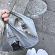 ヒメ日記 2025/05/01 04:30 投稿 まなか もしも素敵な妻が指輪をはずしたら・・・