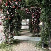 ヒメ日記 2025/05/12 10:20 投稿 まなか もしも素敵な妻が指輪をはずしたら・・・