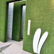 ヒメ日記 2025/05/22 04:20 投稿 まなか もしも素敵な妻が指輪をはずしたら・・・