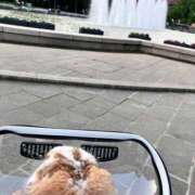 ヒメ日記 2025/05/29 13:01 投稿 まなか もしも素敵な妻が指輪をはずしたら・・・